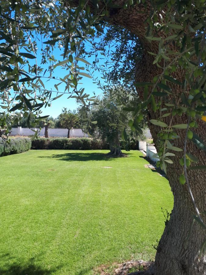 Masseria Bianca di Puglia Monopoli Bagian luar foto