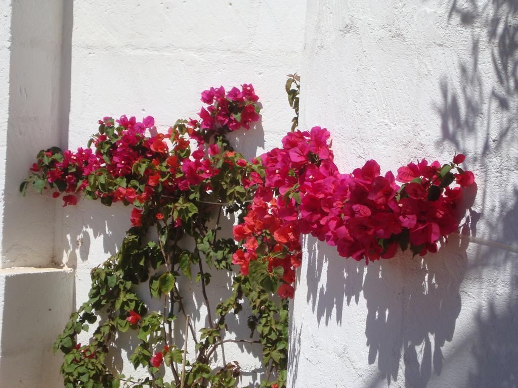 Masseria Bianca di Puglia Monopoli Ruang foto